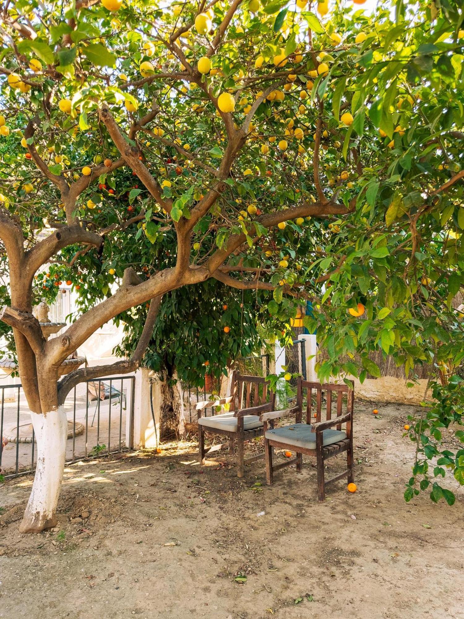 Charming Country House Τορρεμολίνος Εξωτερικό φωτογραφία